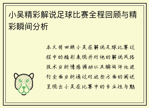 小吴精彩解说足球比赛全程回顾与精彩瞬间分析