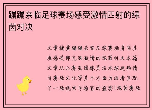 蹦蹦亲临足球赛场感受激情四射的绿茵对决