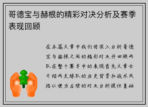 哥德宝与赫根的精彩对决分析及赛季表现回顾