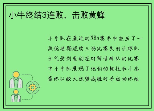 小牛终结3连败，击败黄蜂